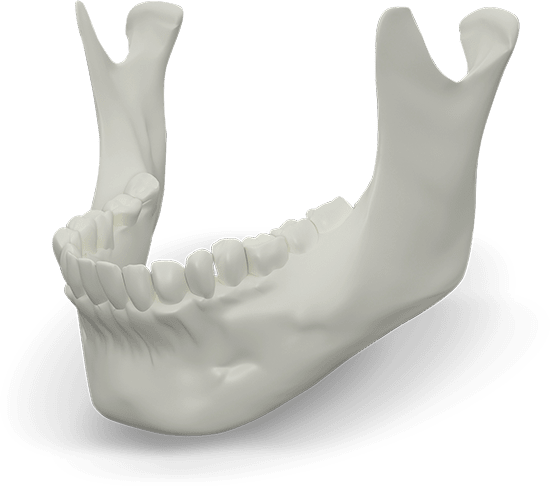 jaw bone graphic